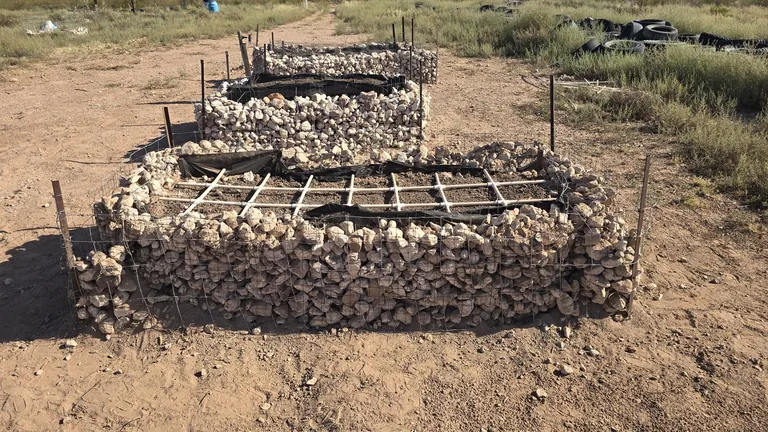 Stone-filled gabion growing beds on the CompostHubOnline ranch.